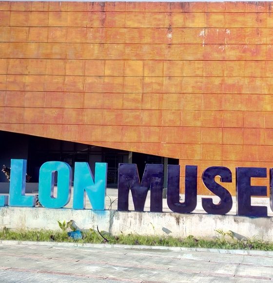 Yemisi Shyllon Museum of Art YSMA