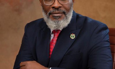 adeyinka famadewa