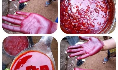 contaminated palm oil