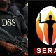 serap dss