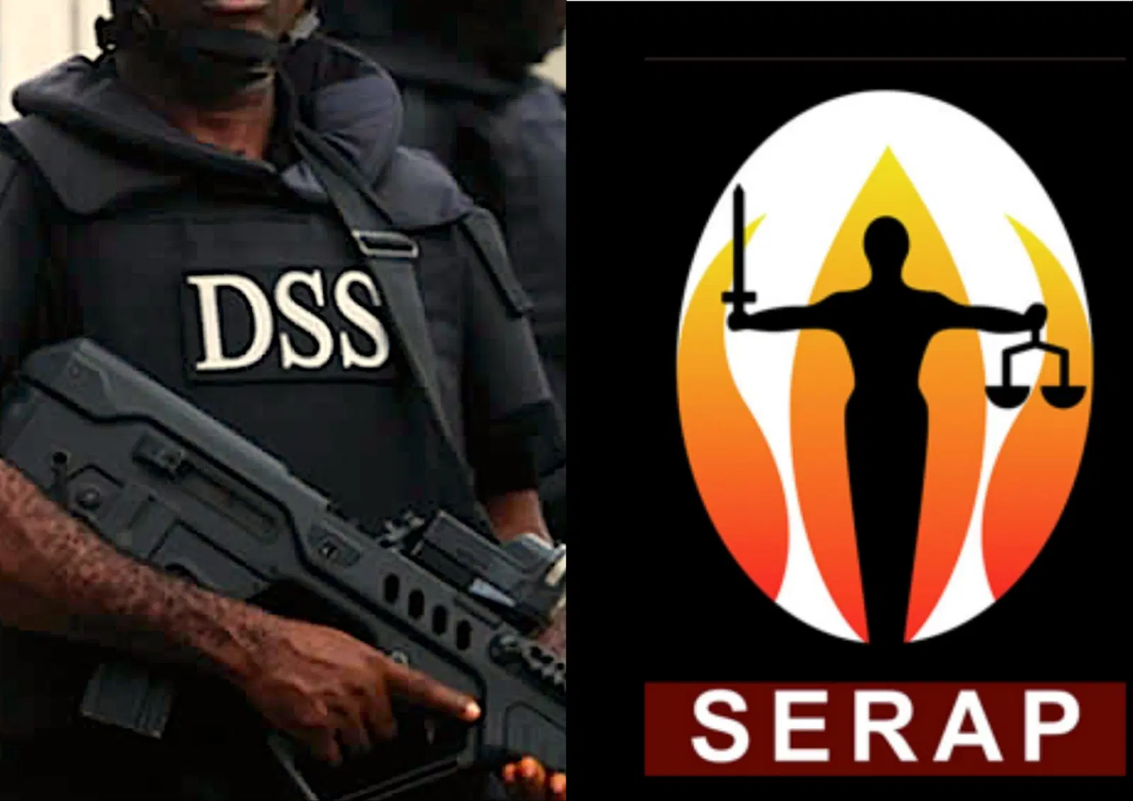 serap dss