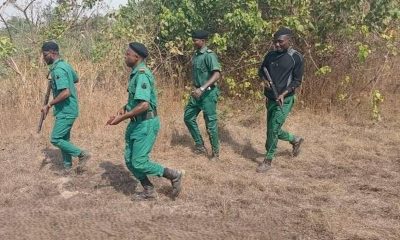 Forest Guards