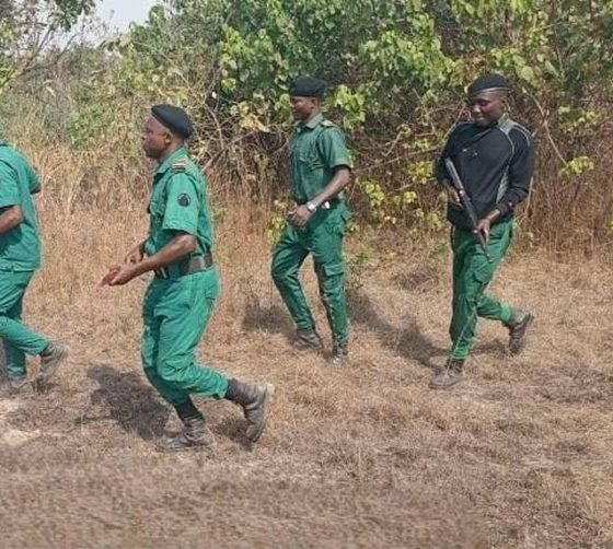 Forest Guards