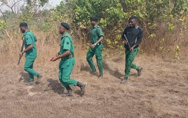 Forest Guards