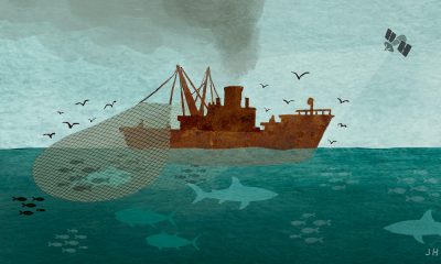 illegal fishing