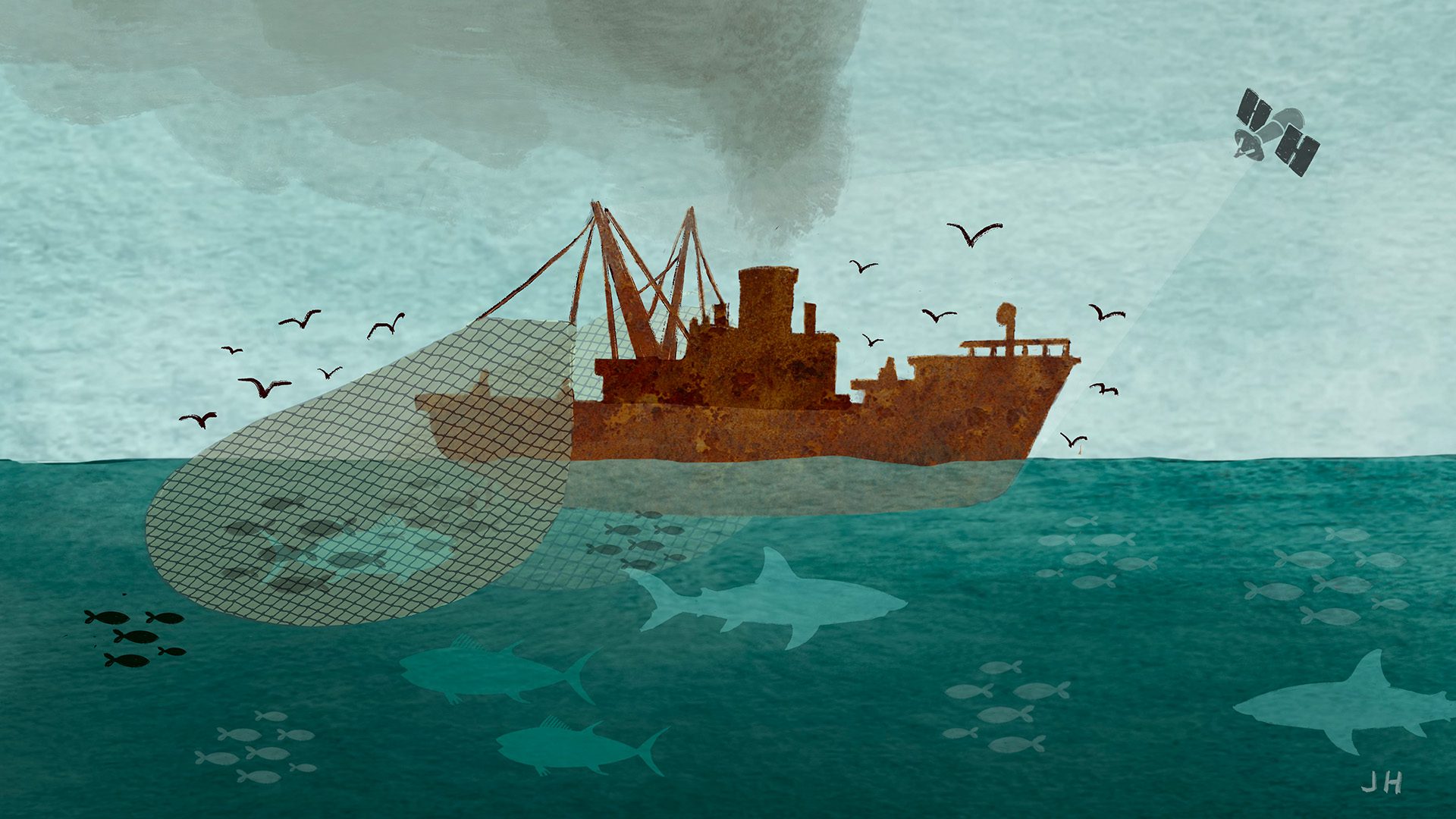 illegal fishing