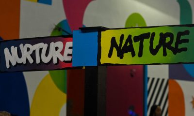 BBNaija Season 11 Nature vs Nurture