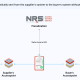 NRS e-Invoicing
