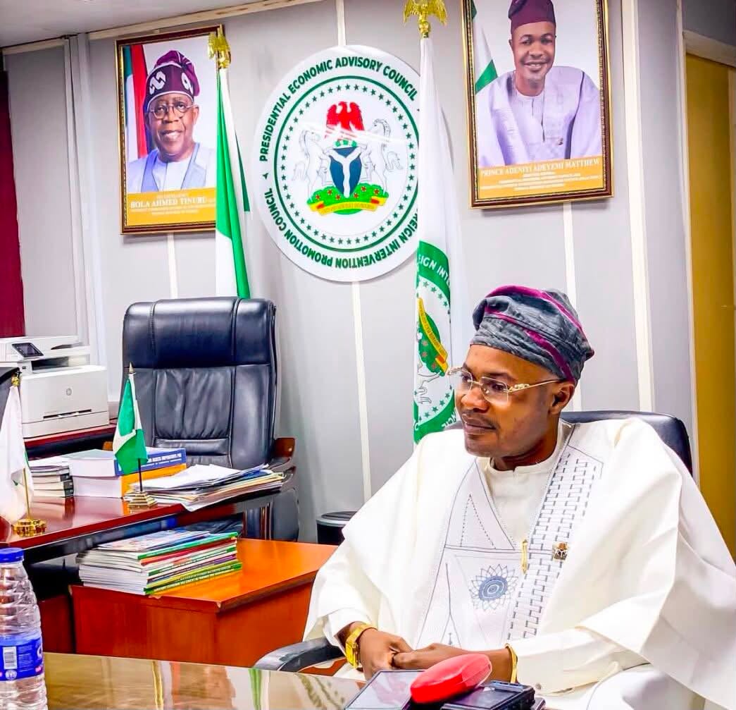 Presidential Economic Advisory Council Adeyemi Adeniyi Matthew