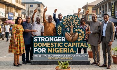 Stronger Domestic Capital