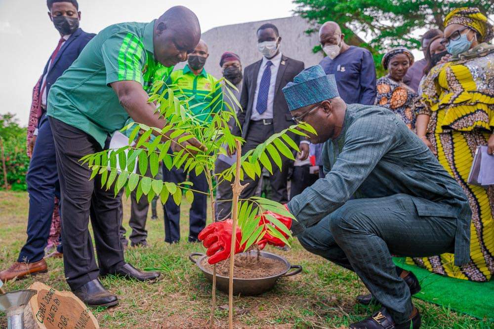 tree planting nigeria