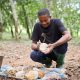 Asia Africa Rubber Industry