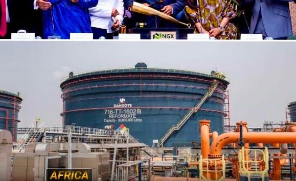 Dangote IPO