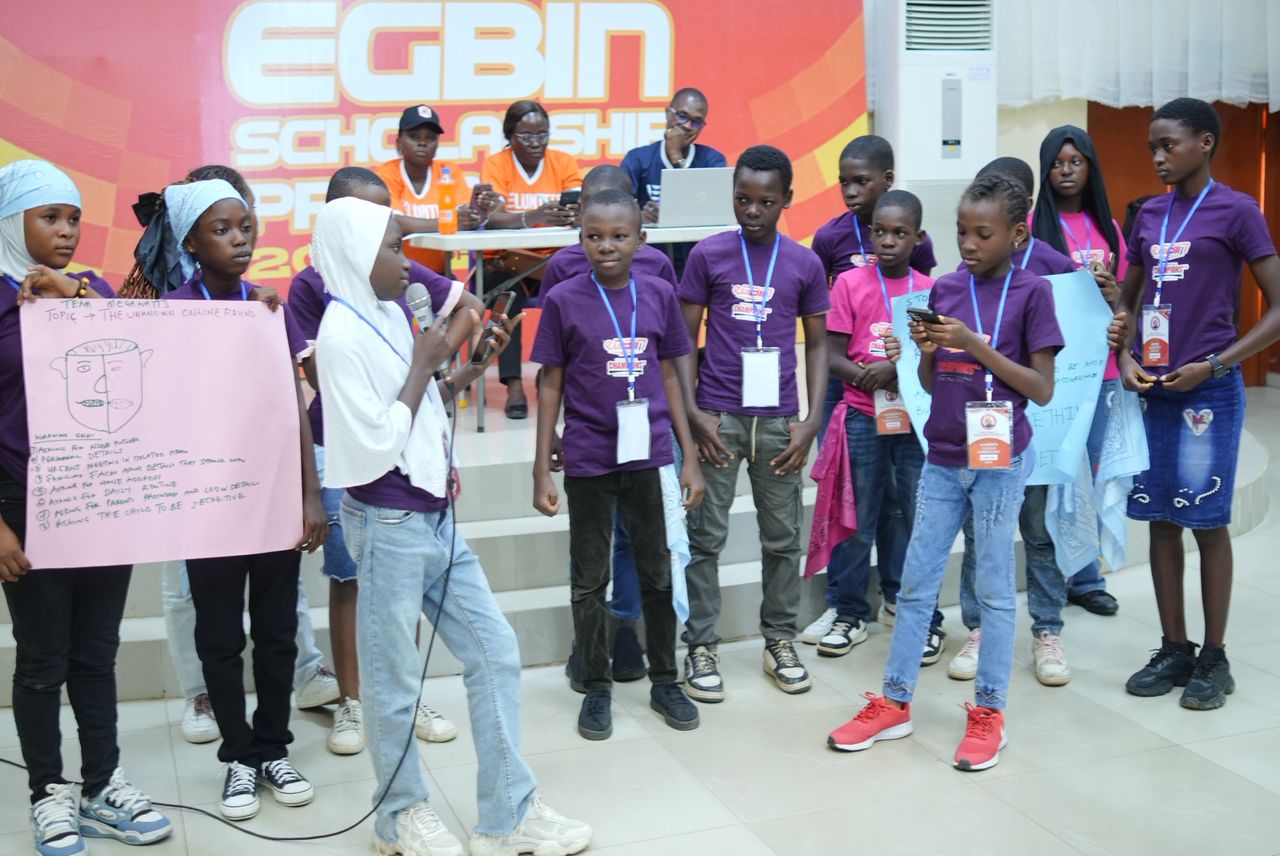 Egbin Power Scholarship Programme
