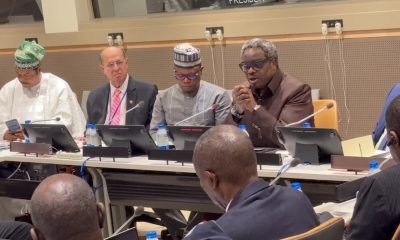 Kola Adesina Climate Finance UNGA