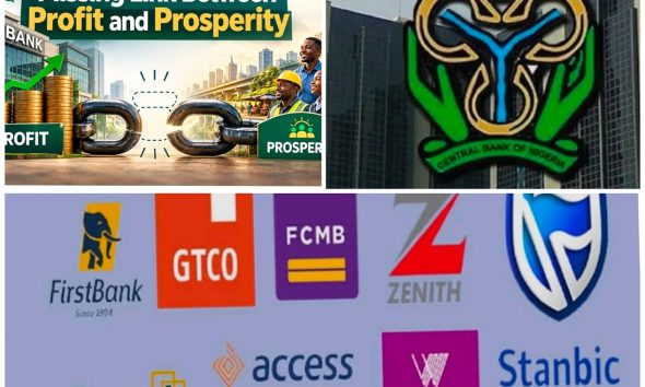 Nigeria’s Recapitalised Banks
