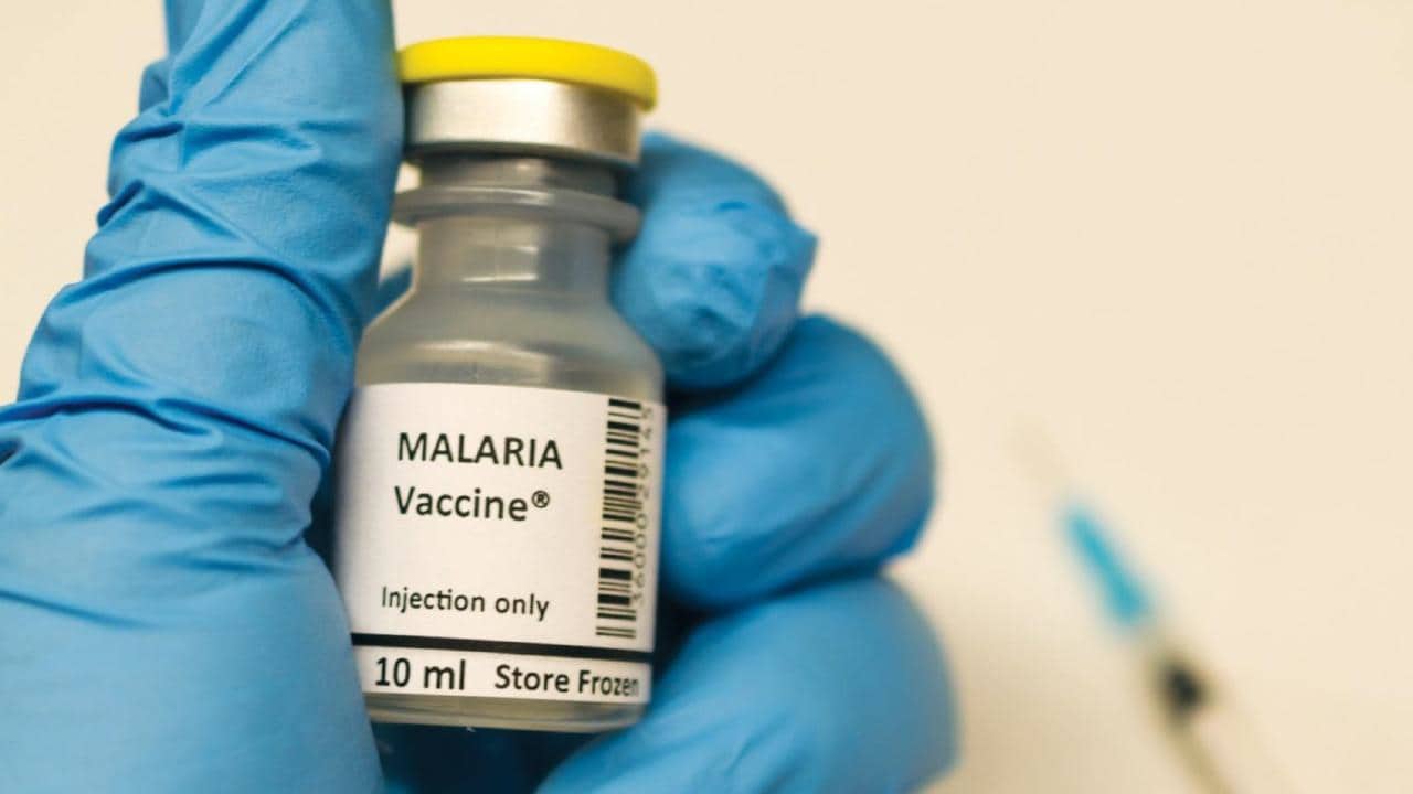 RTS,S AS01 malaria vaccine