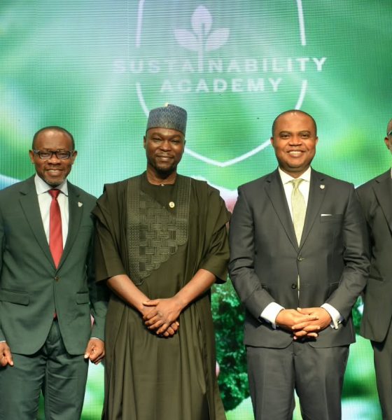Standard Bank Sustainability Academy
