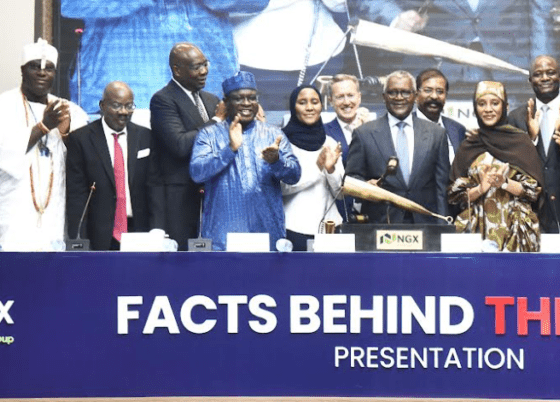 market dangote refinery ipo